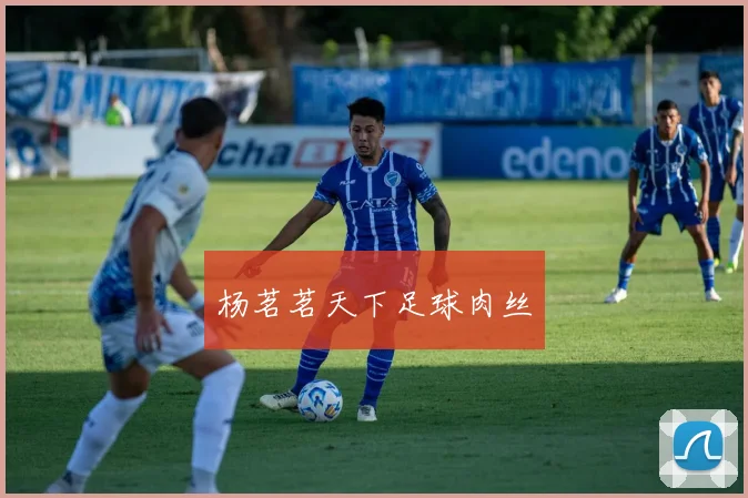 杨茗茗天下足球肉丝