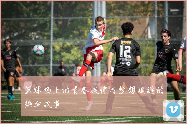 篮球场上的青春旋律与梦想追逐的热血故事