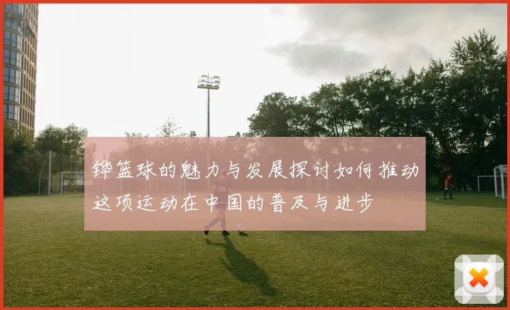 铧篮球的魅力与发展探讨如何推动这项运动在中国的普及与进步