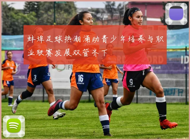 蚌埠足球热潮涌动青少年培养与职业联赛发展双管齐下