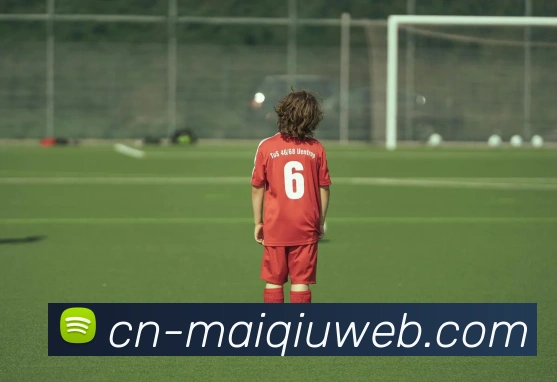 买球官网APP 高清赛事图